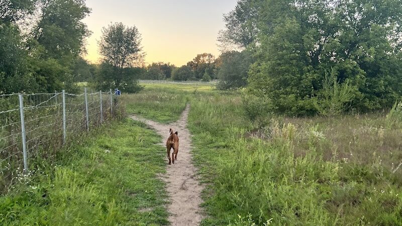 Rice Creek Off-Leash Dog Area - Shoreview, MN