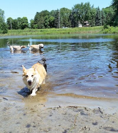 Rice Creek Off-Leash Dog Area - Shoreview, MN