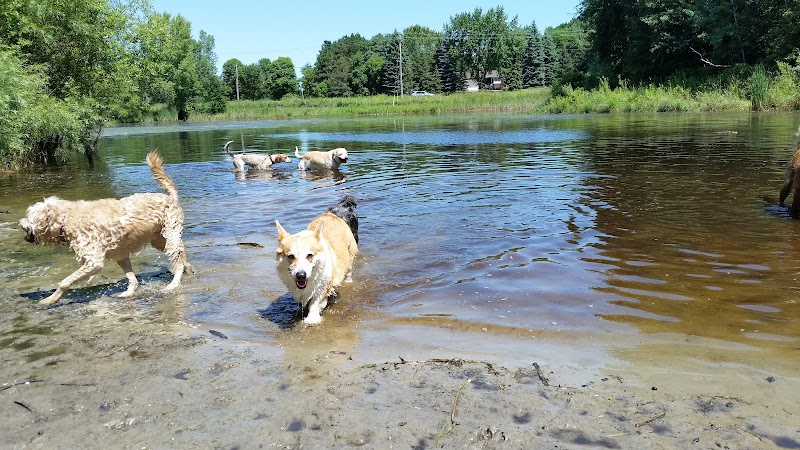 Rice Creek Off-Leash Dog Area - Shoreview, MN
