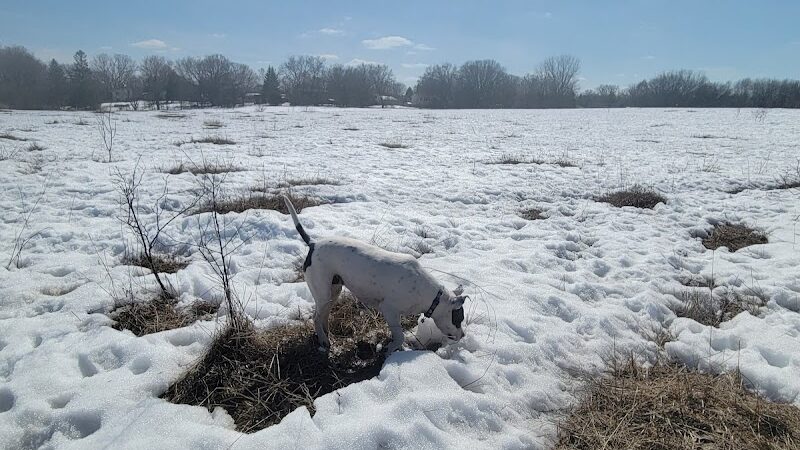 Rice Creek Off-Leash Dog Area - Shoreview, MN