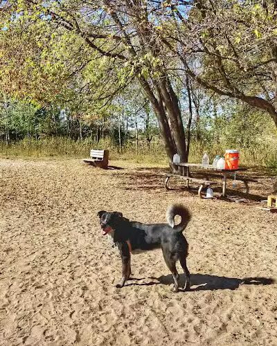 Rice Creek Off-Leash Dog Area - Shoreview, MN