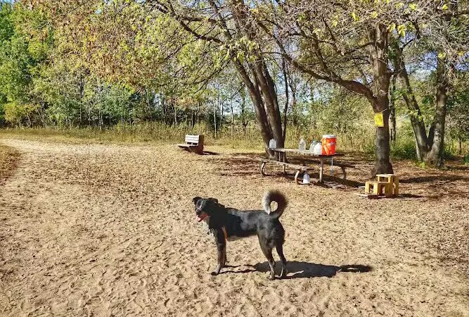 Rice Creek Off-Leash Dog Area - Shoreview, MN