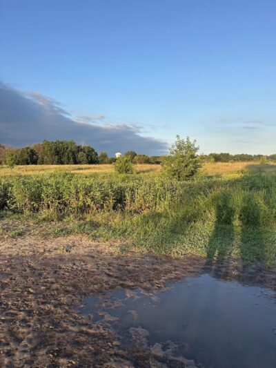 Rice Creek Off-Leash Dog Area - Shoreview, MN