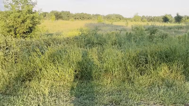 Rice Creek Off-Leash Dog Area - Shoreview, MN