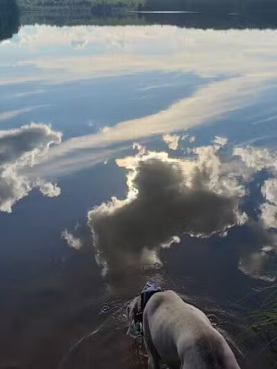 Lake Ste Kathryn Campground - Sidnaw,