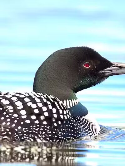 Lake Ste Kathryn Campground - Sidnaw,