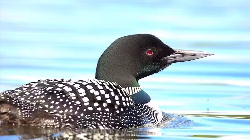 Lake Ste Kathryn Campground - Sidnaw,