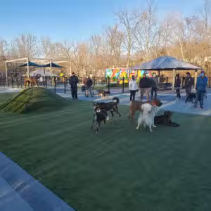 Dog Park at Dewey Local Park - Silver Spring, MD