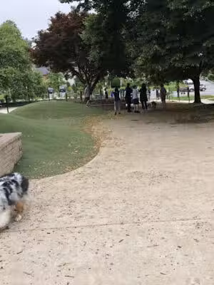 Ellsworth Park and Dog Park - Silver Spring, MD