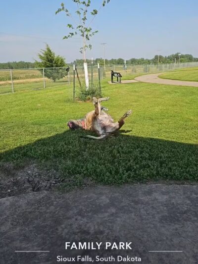 Family Park Dog Park - Sioux Falls, SD