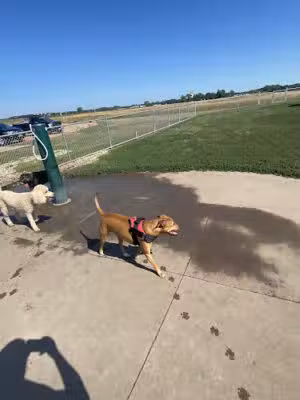 Family Park Dog Park - Sioux Falls, SD