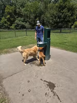 Spencer Park Dog Park - Sioux Falls, SD