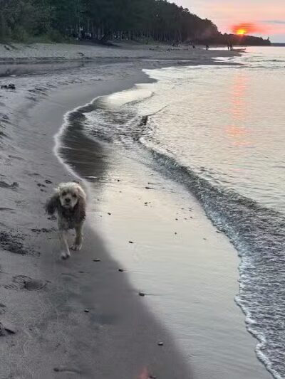 Skanee Park and Public Access - Skanee,