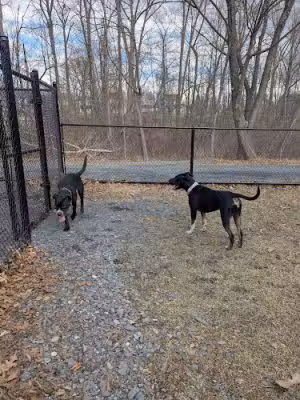 Slatedale Dog Park - Slatington, PA