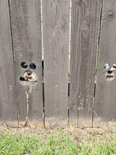 John Slidell Park - Slidell, LA