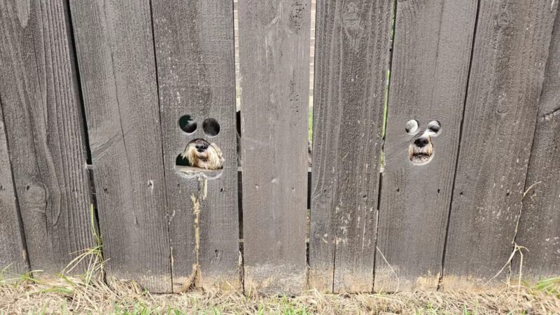 John Slidell Park - Slidell, LA