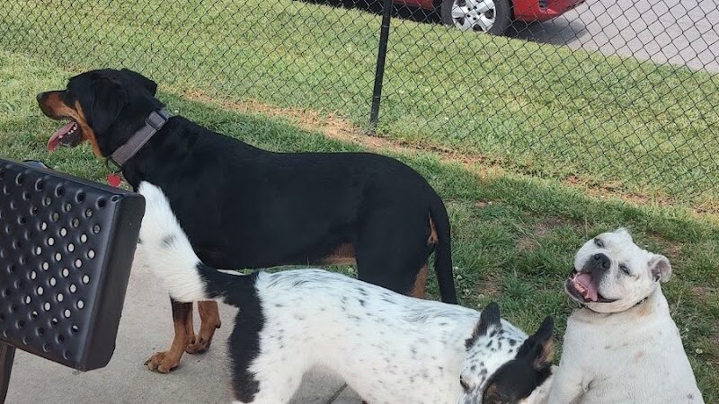 Smithfield Dog Park - Smithfield, NC