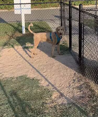Smithfield Dog Park - Smithfield, NC
