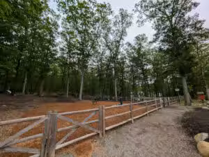 Smithfield Dog Park - Smithfield, RI