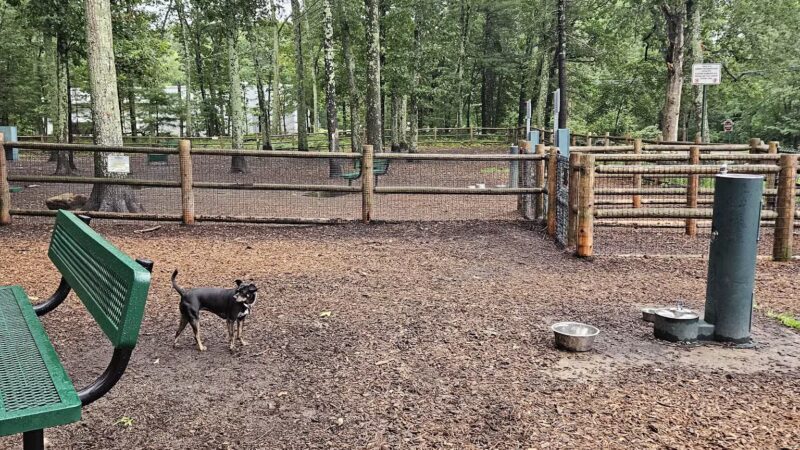 Smithfield Dog Park - Smithfield, RI