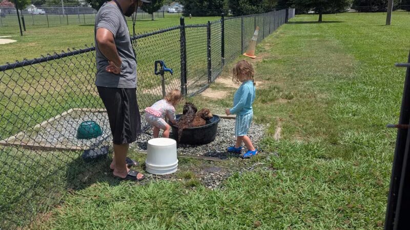 Smithfield Dog Park - Smithfield, NC