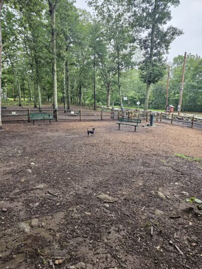 Smithfield Dog Park - Smithfield, RI