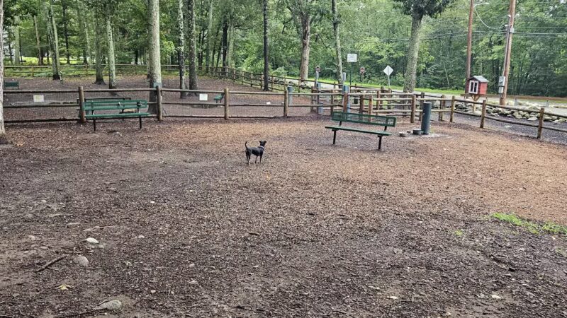 Smithfield Dog Park - Smithfield, RI