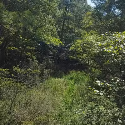 Windsor Castle Park - Smithfield, VA