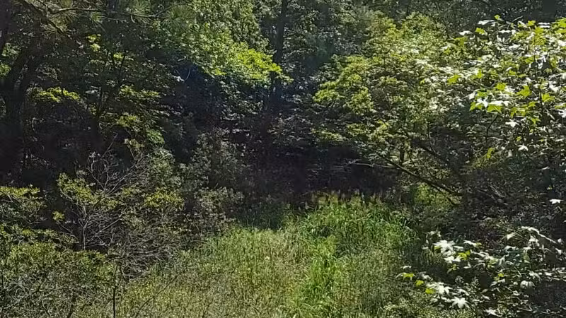 Windsor Castle Park - Smithfield, VA