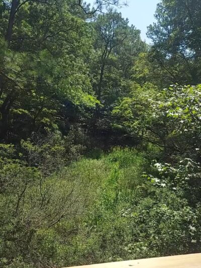 Windsor Castle Park - Smithfield, VA