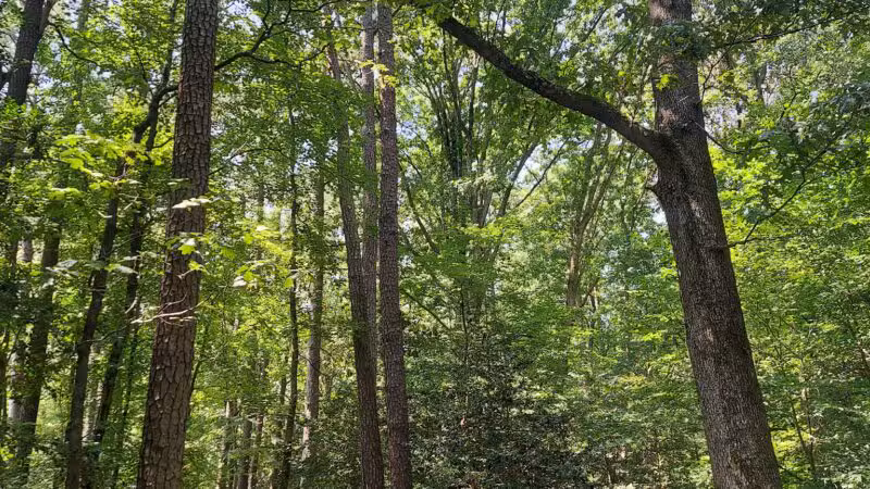 Windsor Castle Park - Smithfield, VA