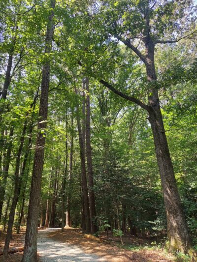 Windsor Castle Park - Smithfield, VA