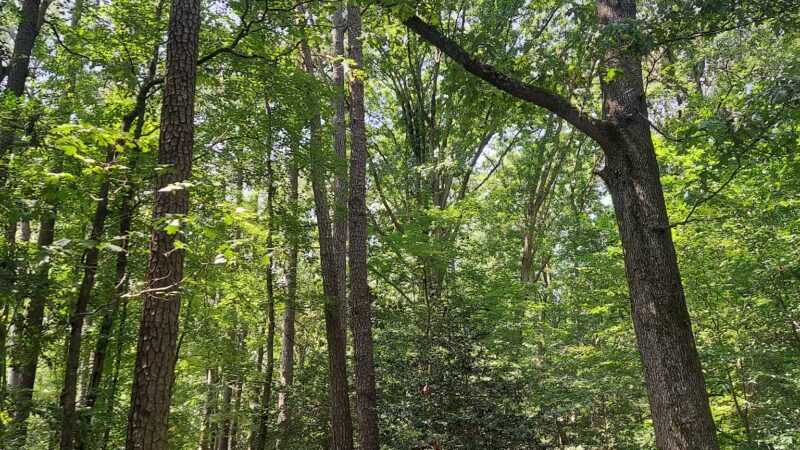 Windsor Castle Park - Smithfield, VA