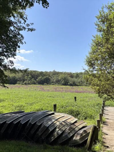 Blydenburgh County Park - Smithtown, NY