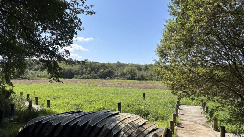 Blydenburgh County Park - Smithtown, NY