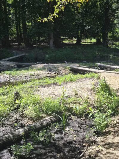 Blydenburgh County Park - Smithtown, NY