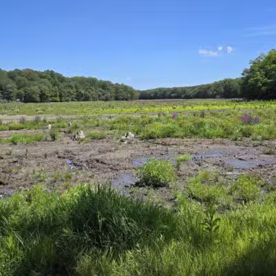 Blydenburgh County Park - Smithtown, NY