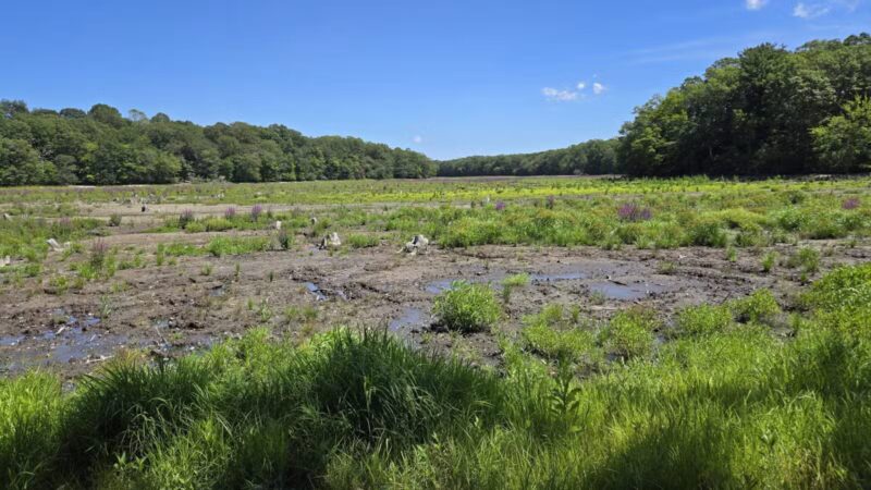 Blydenburgh County Park - Smithtown, NY