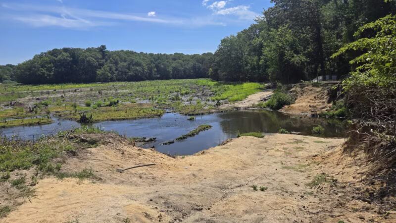 Blydenburgh County Park - Smithtown, NY