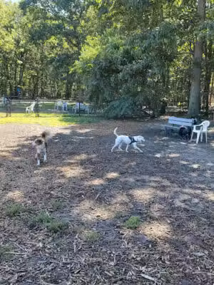 Blydenburgh County Park - Smithtown, NY