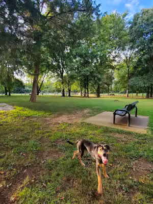 Bark Springs Dog Park Smyrna TN - Smyrna, TN