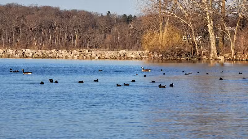 North Shore Shelter - Solon, IA