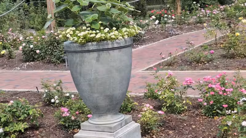 Colonial Park - Somerset, NJ