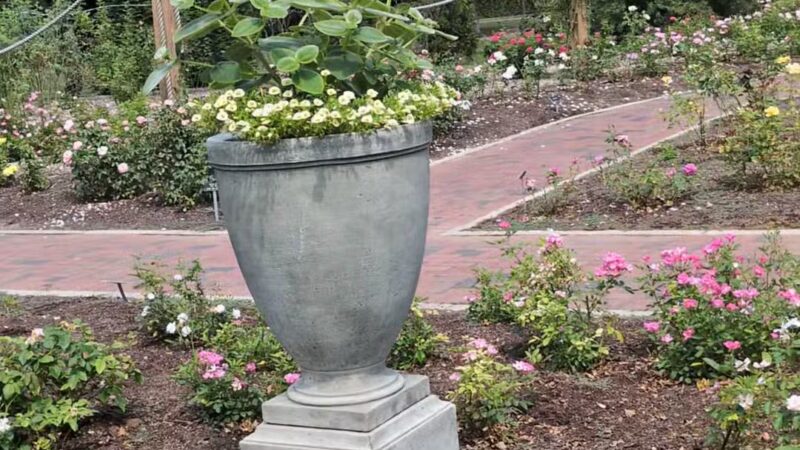 Colonial Park - Somerset, NJ