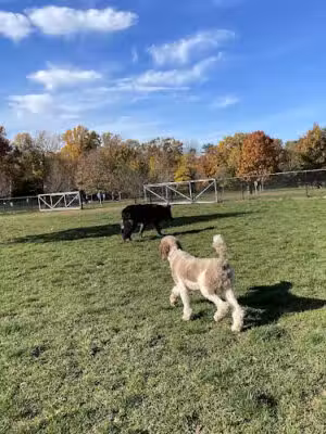 Colonial Park - Somerset, NJ