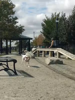 Zero New Washington Dog Park - Somerville, MA