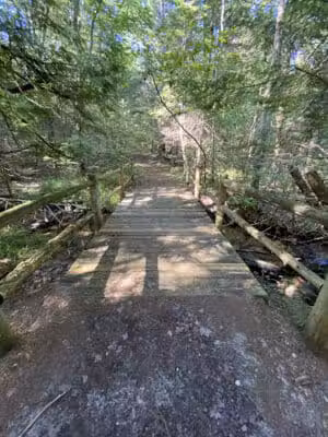 South Boardman Nature Preserve - South Boardman,