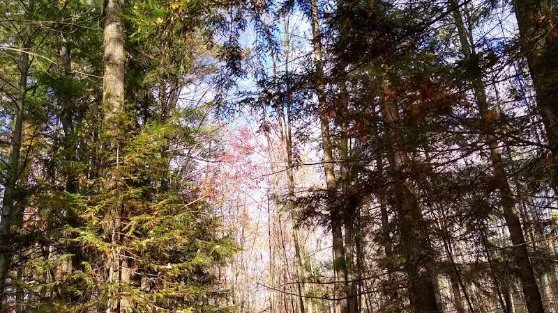 South Boardman Nature Preserve - South Boardman,