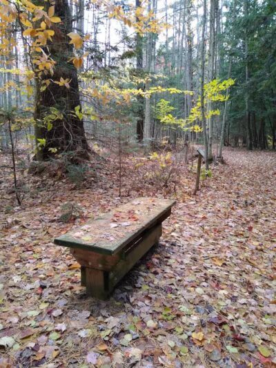 South Boardman Nature Preserve - South Boardman,