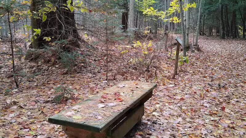 South Boardman Nature Preserve - South Boardman,